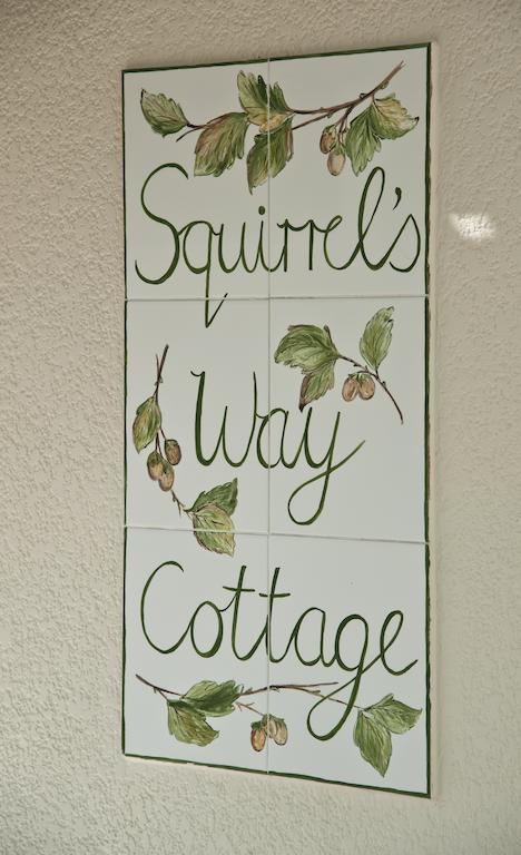 Squirrels Way Cottages 케이프타운 외부 사진